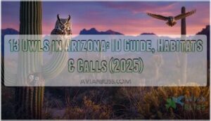 owls in arizona