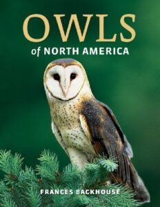 Owls of North America 1770852328