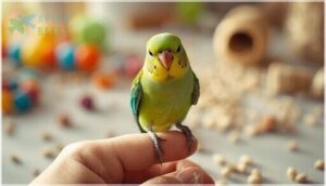 parrotlet – playful personality and training parrotlet – playful personality and training