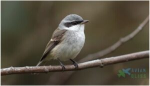 physical characteristics