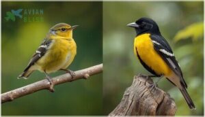 physical characteristics and identification