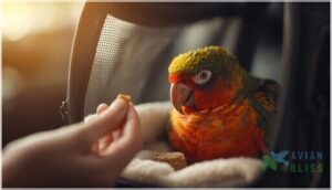 preparing birds for travel in carriers