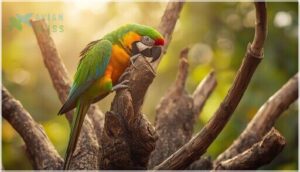 promoting healthy foot exercise and grip