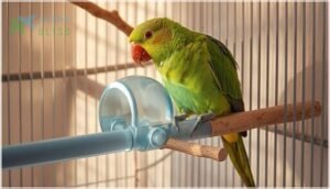 pvc and acrylic perches pvc and acrylic perches