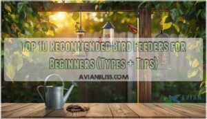 recommended bird feeders for beginners