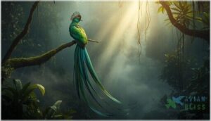 resplendent quetzal