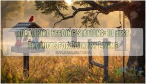 rural bird feeding stations