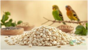 safflower seeds – a nutritious alternative