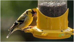 seed port and perch designs