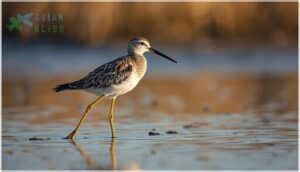 size and body structure