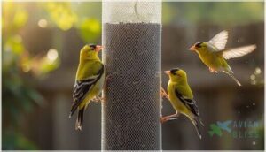 sock feeders for easy seed access
