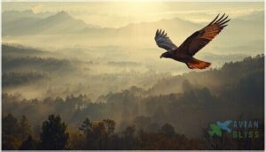 spiritual lessons from hawk encounters