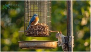 squirrel-proof and predator-resistant designs