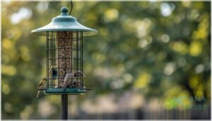 squirrel-proof construction and domes squirrel-proof construction and domes