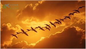 the role of leadership and position rotation