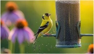 thistle seeds for goldfinches