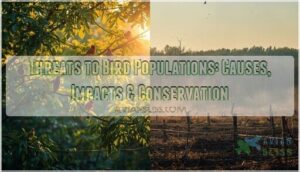 threats to bird populations