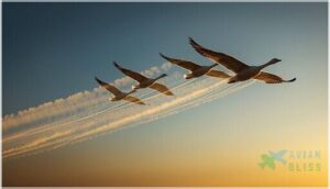 upwash and downwash effects explained