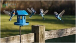 visibility and accessibility for bluebirds