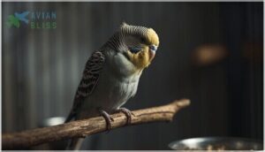 weight loss and behavior changes