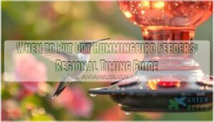 when to put out hummingbird feeders