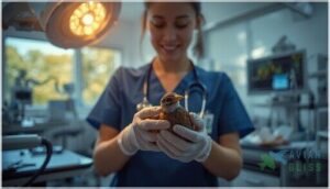 when to seek professional help for birds