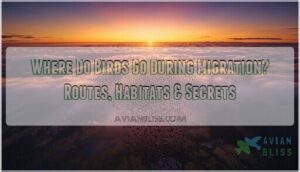 where do birds go during migration