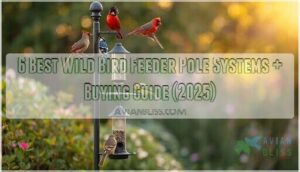 wild bird feeder pole systems