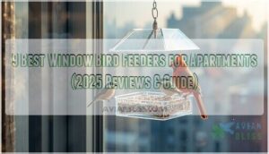 window bird feeders for apartments