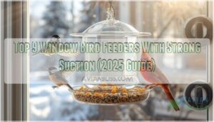 window bird feeders with strong suction
