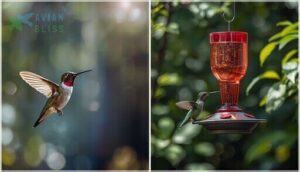 window vs. hanging hummingbird feeders