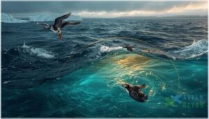 wintering areas and migration patterns