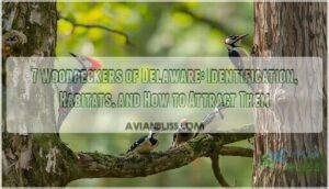 woodpeckers of delaware