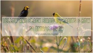 yellow and black birds