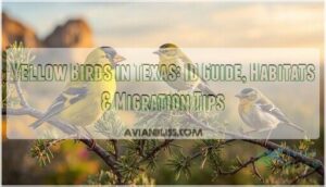 yellow birds in texas