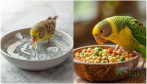 adding vitamins to water vs. food adding vitamins to water vs. food