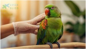 addressing and preventing feather problems