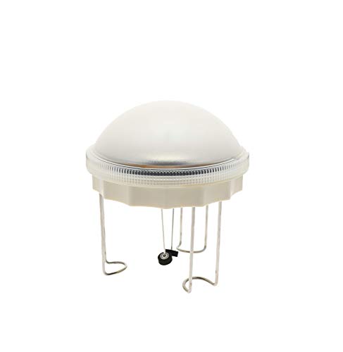 API® Aurora Water Wiggler® |