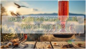 backyard birds of nevada backyard birds of nevada