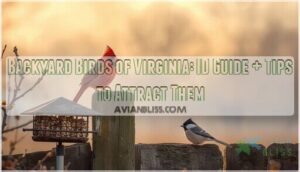 backyard birds of virginia backyard birds of virginia