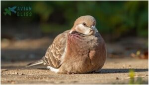 behavioral clues: weakness, panting, and non-responsiveness behavioral clues: weakness, panting, and non-responsiveness