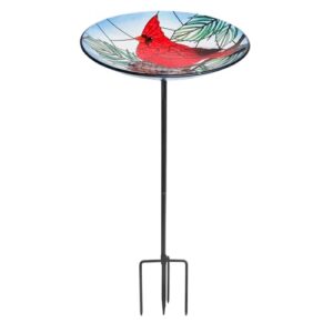 Bird Baths for Outdoors, Glass B0DT5NTG84