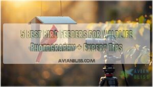 bird feeders for wildlife photography bird feeders for wildlife photography