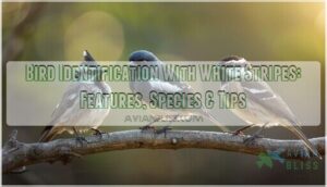 bird identification with white stripes