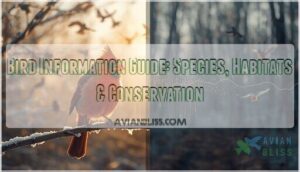 bird information guide