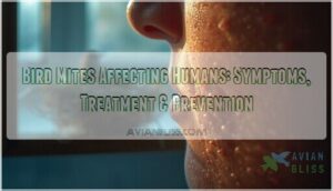 bird mites affecting humans bird mites affecting humans