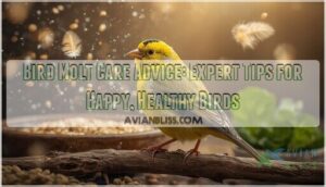 bird molt care advice