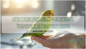 bird wing pain relief