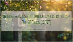 birdhouse location guide