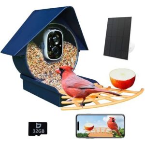 Birdkiss Smart Bird Feeder with B0C6LJMZK6